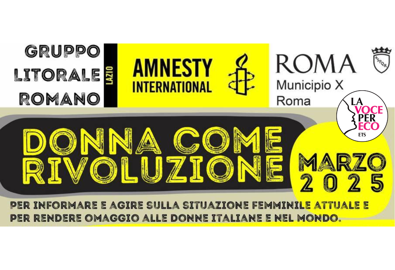 Amnesty